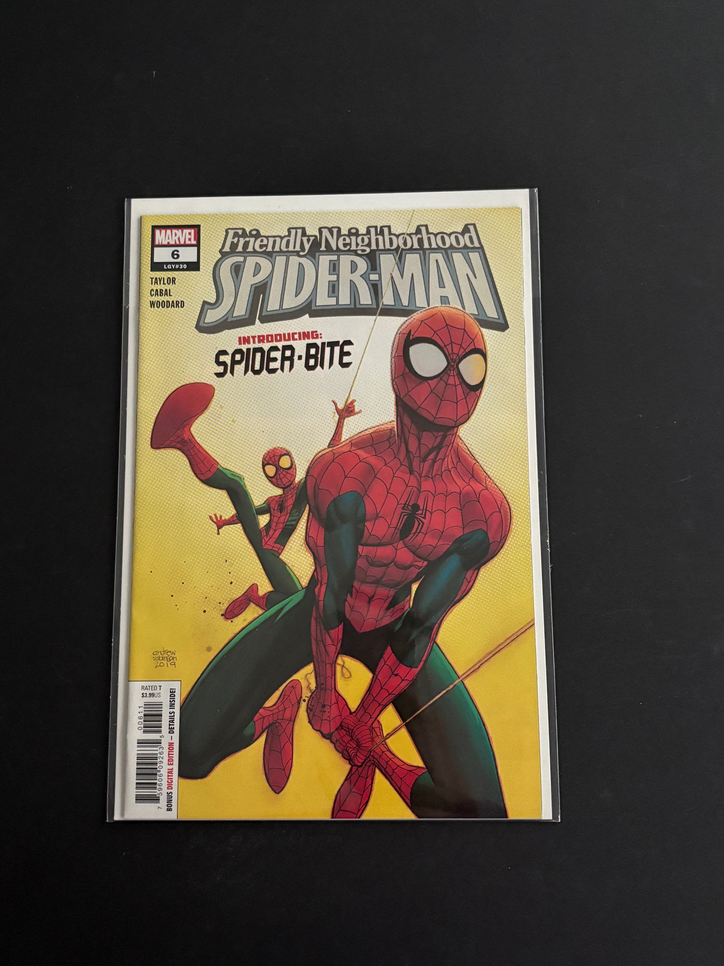 Friendly Neighborhood Spiderman 6
