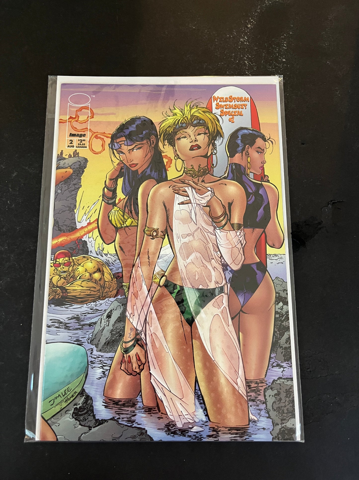Wildstorm Swimsuit Special  2  NM