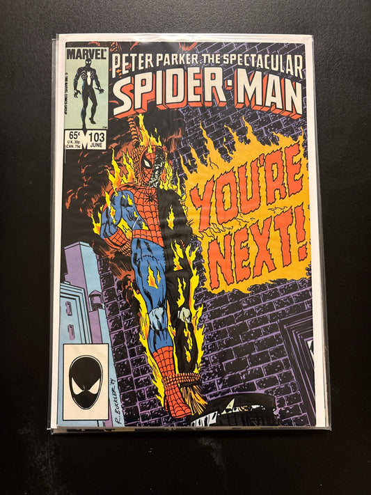 Peter Parker the Spectacular Spider-Man 103 NM