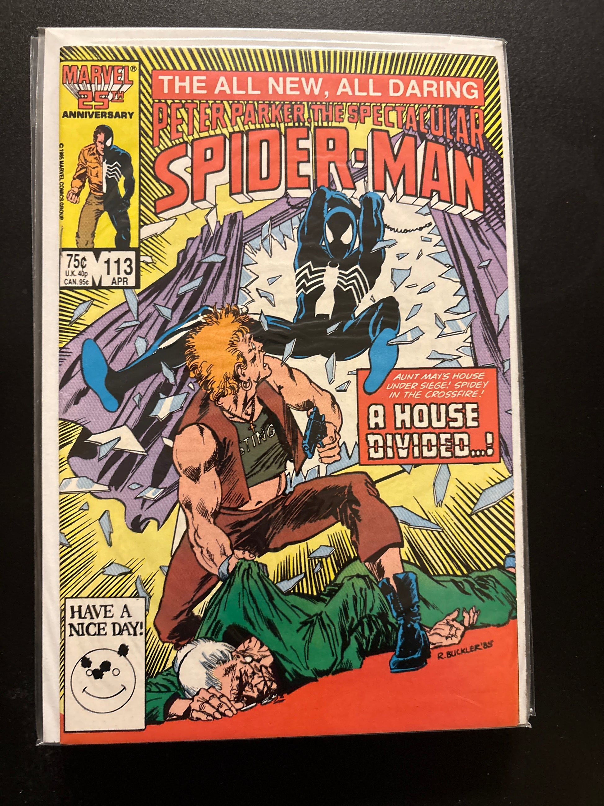 Peter Parker the Spectacular Spider-Man 113 NM