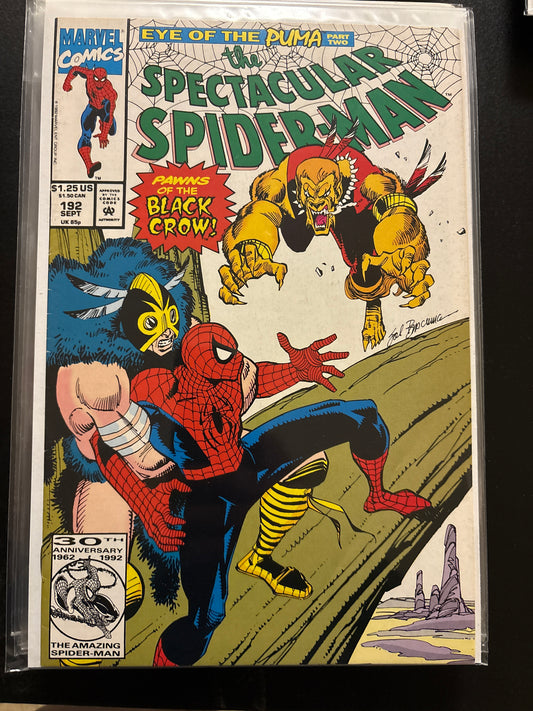 Peter Parker the Spectacular Spider-Man 192 VF