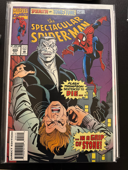 Peter Parker the Spectacular Spider-Man 205 NM