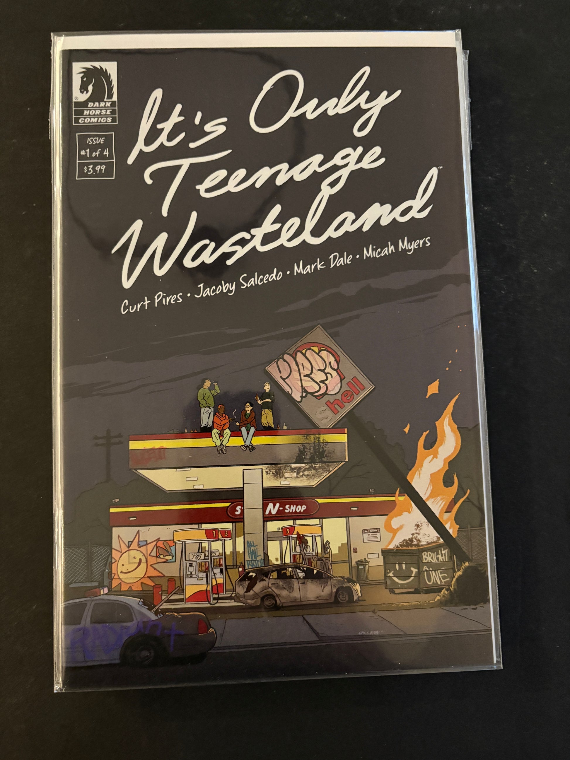 It's Only Teenage Wasteland 1 NM