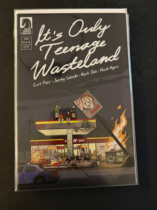 It's Only Teenage Wasteland 1 NM