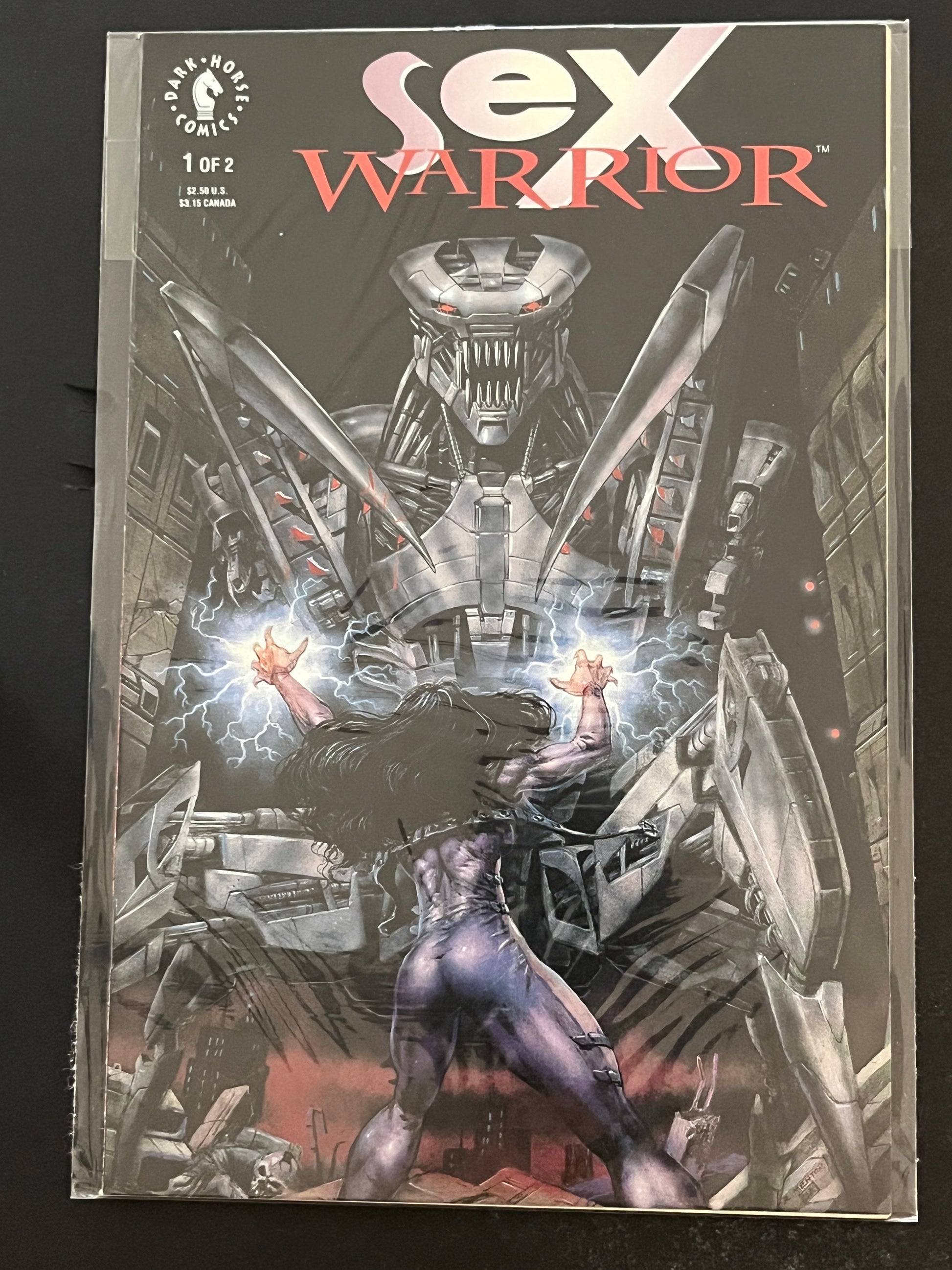 Sex Warrior 1 High Grade